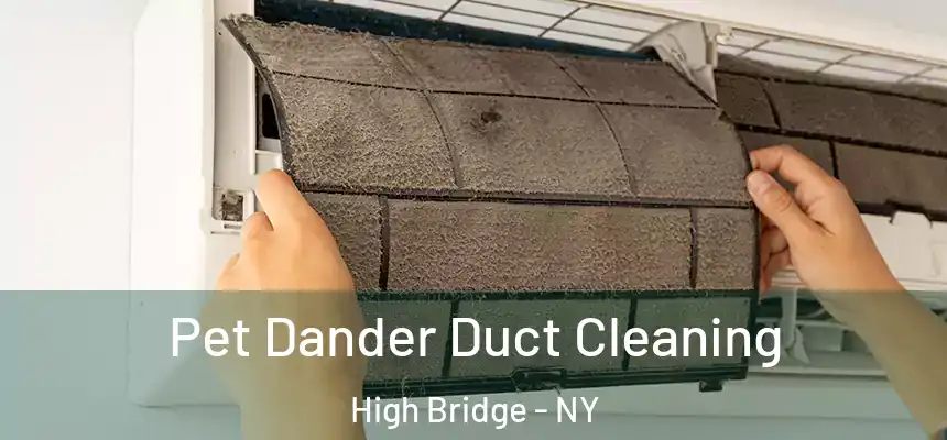 Pet Dander Duct Cleaning High Bridge - NY