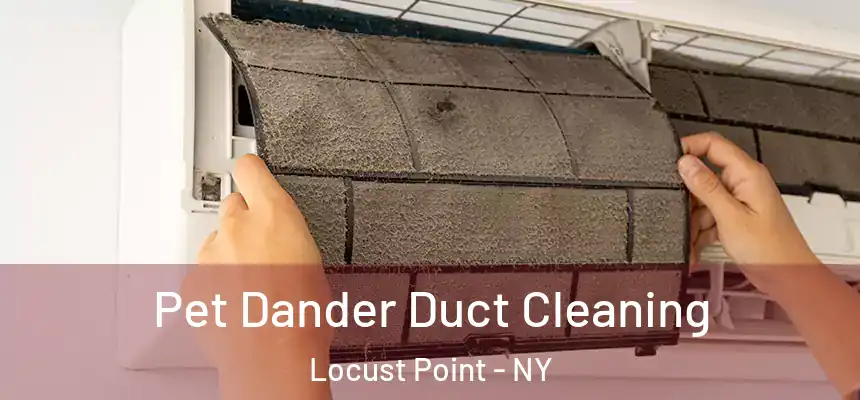 Pet Dander Duct Cleaning Locust Point - NY