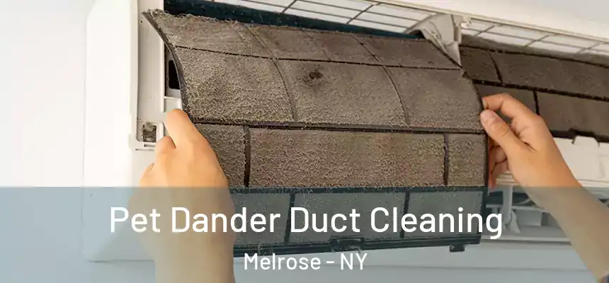 Pet Dander Duct Cleaning Melrose - NY
