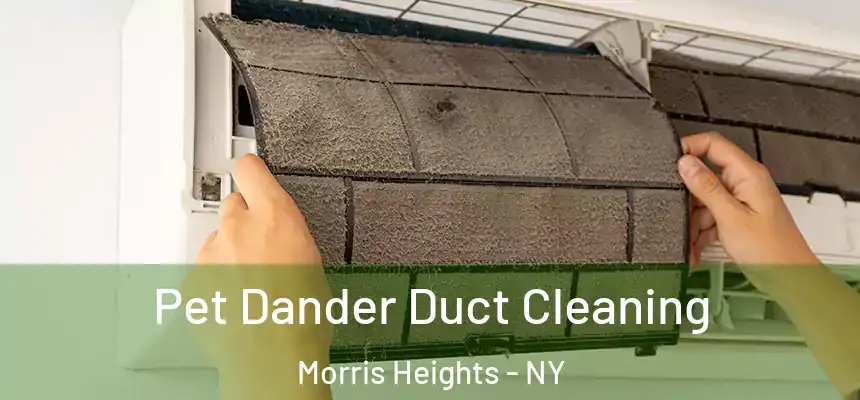 Pet Dander Duct Cleaning Morris Heights - NY