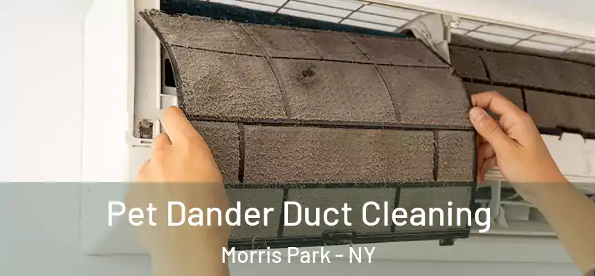 Pet Dander Duct Cleaning Morris Park - NY