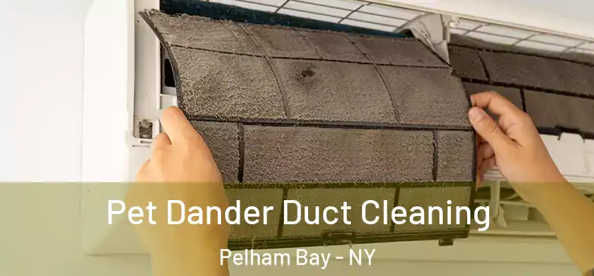Pet Dander Duct Cleaning Pelham Bay - NY