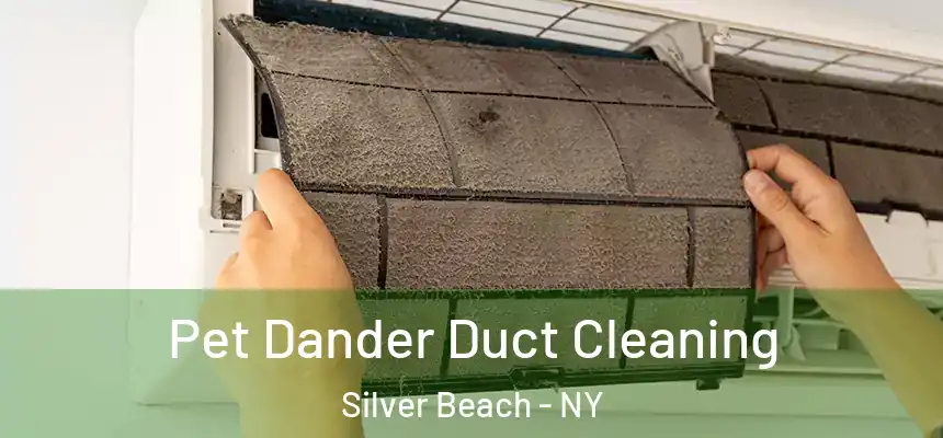Pet Dander Duct Cleaning Silver Beach - NY