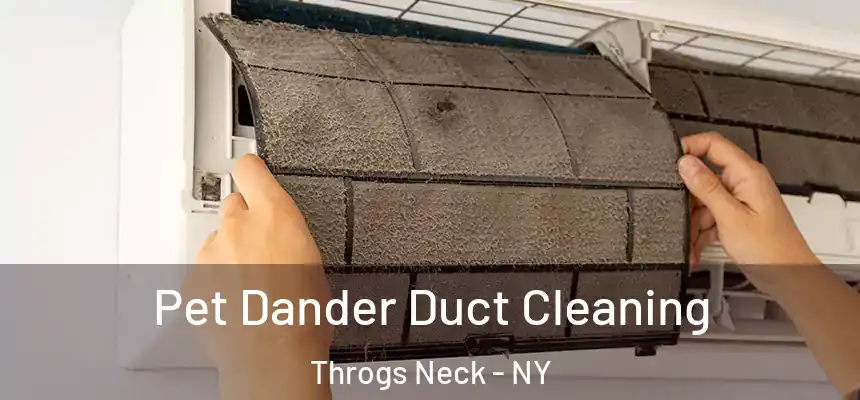 Pet Dander Duct Cleaning Throgs Neck - NY