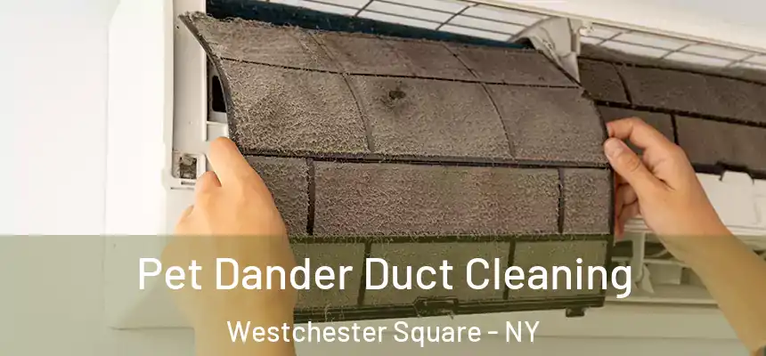  Pet Dander Duct Cleaning Westchester Square - NY