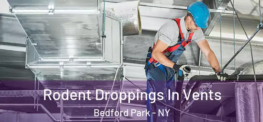  Rodent Droppings In Vents Bedford Park - NY