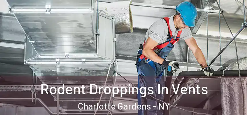 Rodent Droppings In Vents Charlotte Gardens - NY