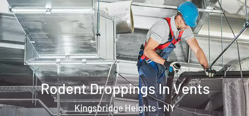Rodent Droppings In Vents Kingsbridge Heights - NY