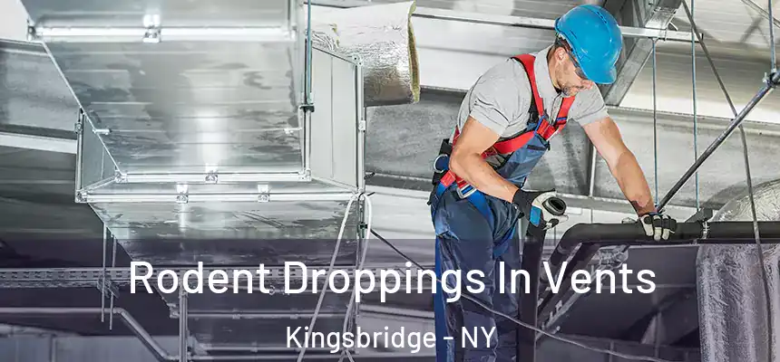 Rodent Droppings In Vents Kingsbridge - NY