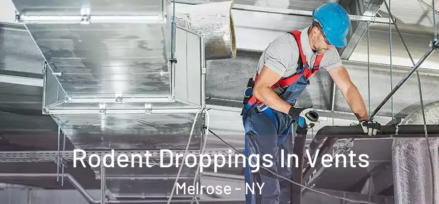 Rodent Droppings In Vents Melrose - NY