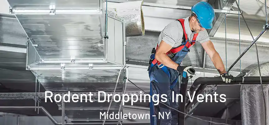  Rodent Droppings In Vents Middletown - NY