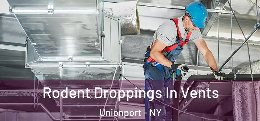  Rodent Droppings In Vents Unionport - NY