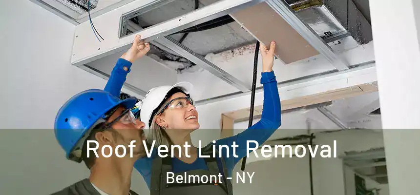 Roof Vent Lint Removal Belmont - NY