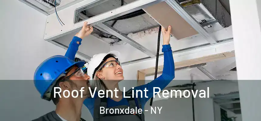 Roof Vent Lint Removal Bronxdale - NY