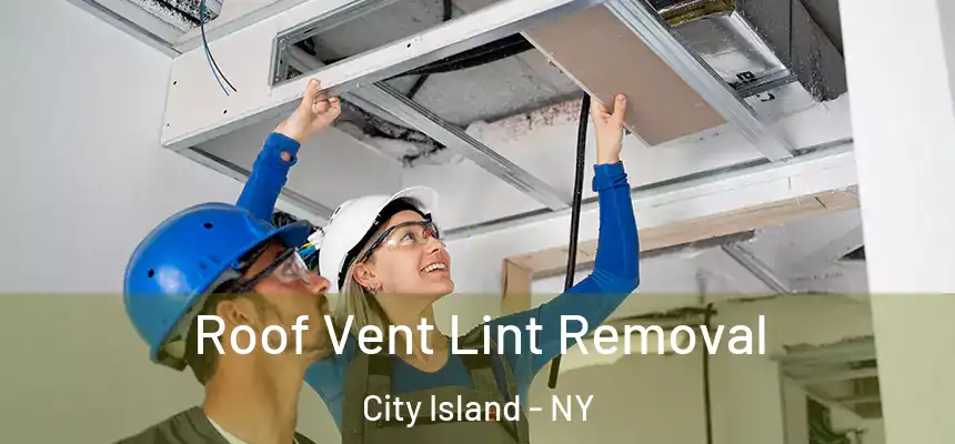 Roof Vent Lint Removal City Island - NY