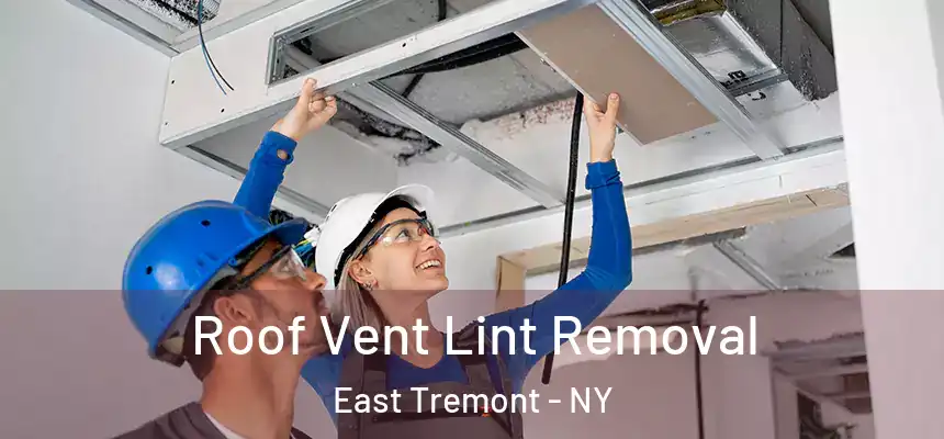  Roof Vent Lint Removal East Tremont - NY