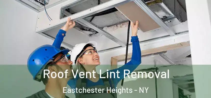 Roof Vent Lint Removal Eastchester Heights - NY