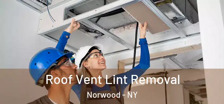  Roof Vent Lint Removal Norwood - NY