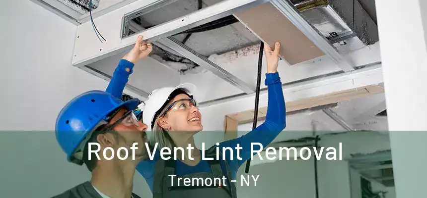 Roof Vent Lint Removal Tremont - NY
