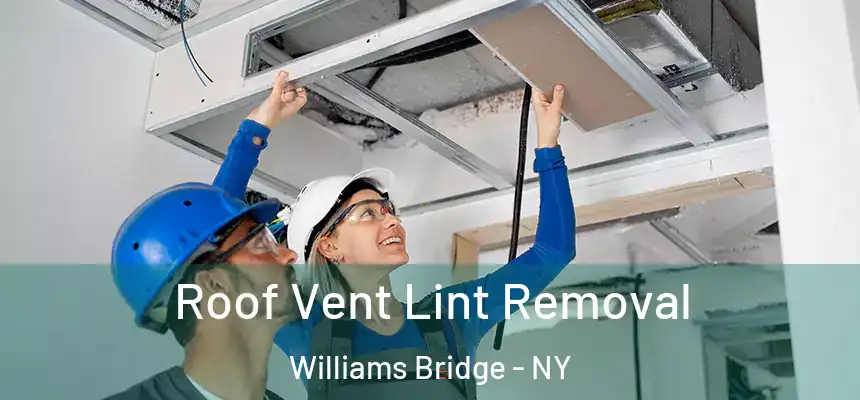 Roof Vent Lint Removal Williams Bridge - NY