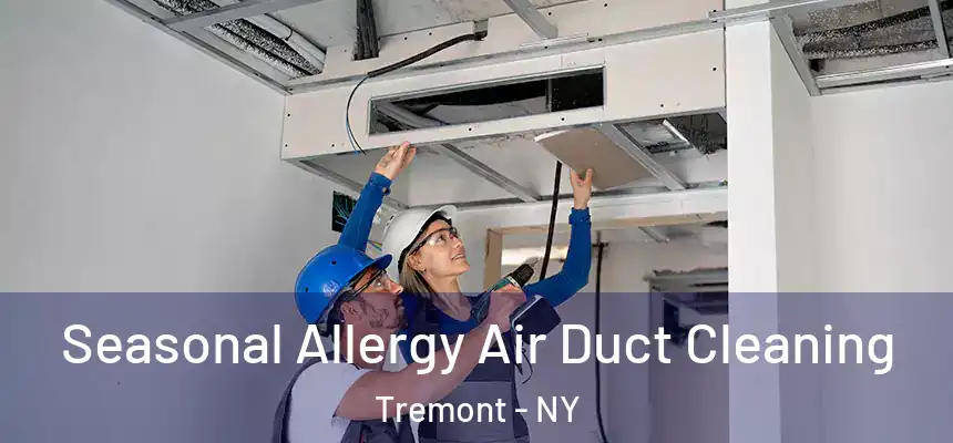  Seasonal Allergy Air Duct Cleaning Tremont - NY