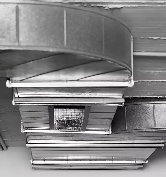 Professional Air Duct Pest Removal in University Heights, NY