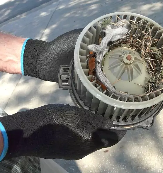 About Air Duct Rat Removal in University Heights, NY