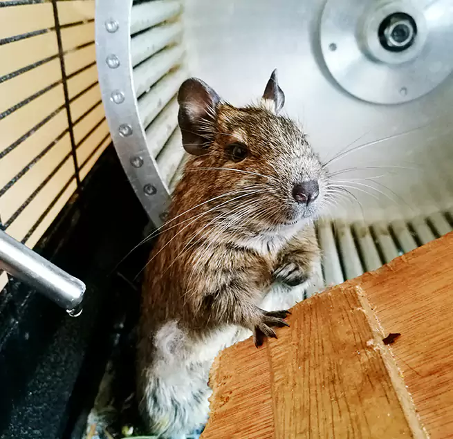 Why Homeowners & Businesses Trust Us University Heights, NY