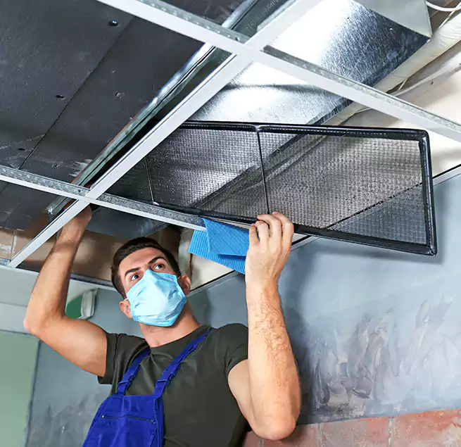 Why Homeowners Businesses Trust Us in Van Nest, NY