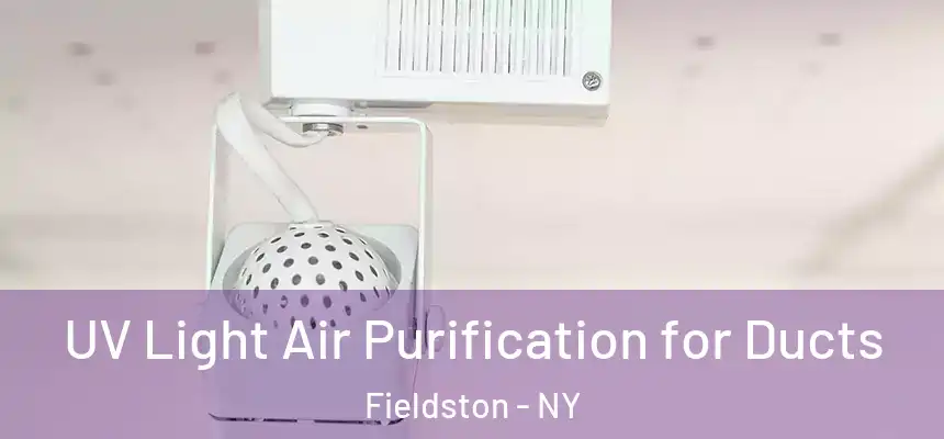  UV Light Air Purification for Ducts Fieldston - NY