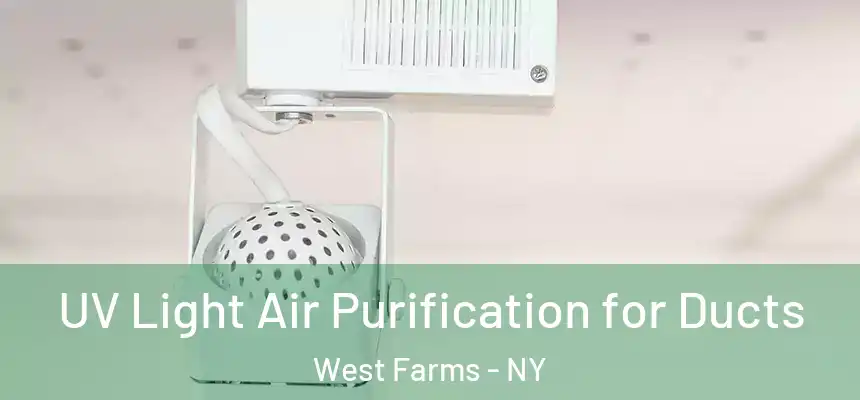  UV Light Air Purification for Ducts West Farms - NY
