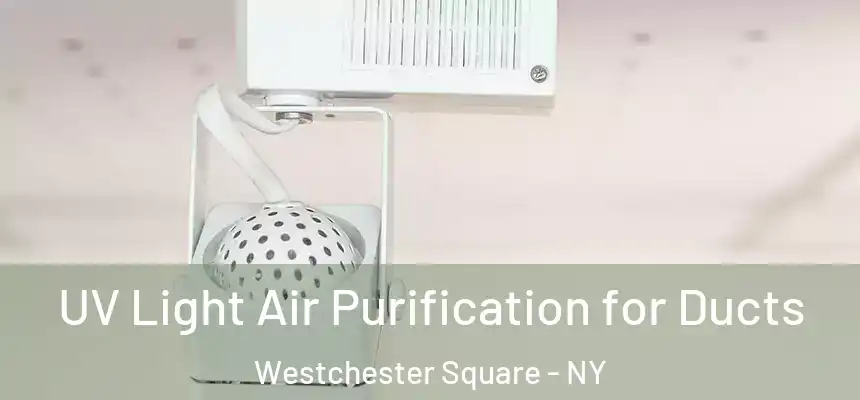 UV Light Air Purification for Ducts Westchester Square - NY