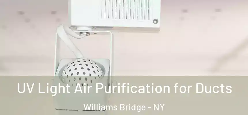 UV Light Air Purification for Ducts Williams Bridge - NY