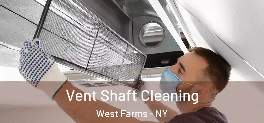 Vent Shaft Cleaning West Farms - NY