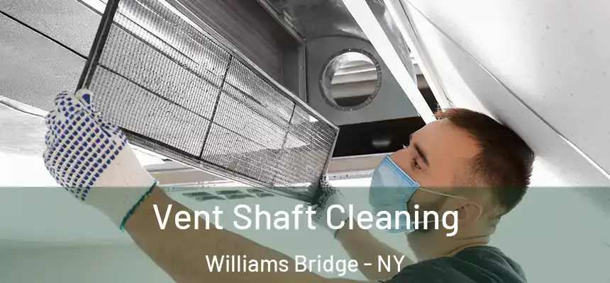 Vent Shaft Cleaning Williams Bridge - NY