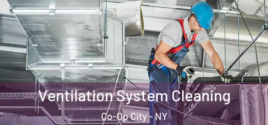 Ventilation System Cleaning Co-Op City - NY
