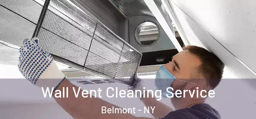 Wall Vent Cleaning Service Belmont - NY