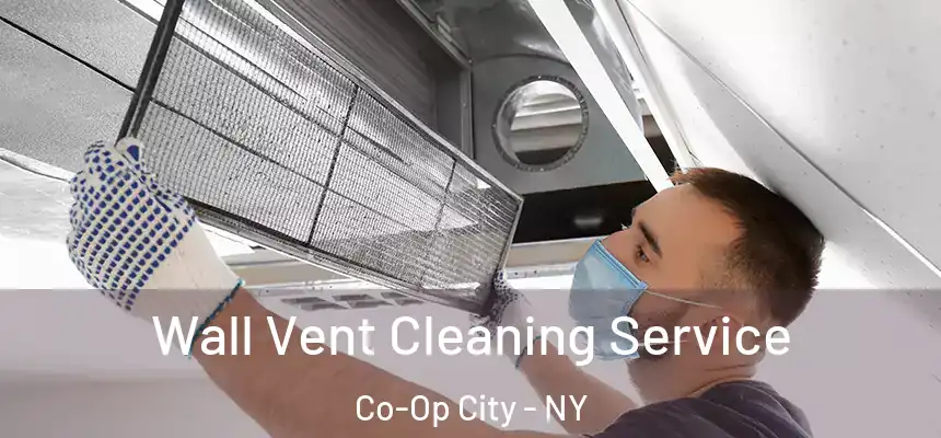 Wall Vent Cleaning Service Co-Op City - NY